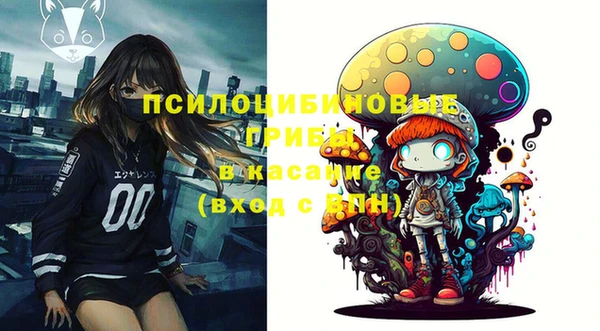 молекула духа Арсеньев