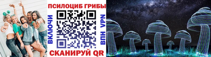 цены   Долгопрудный  Псилоцибиновые грибы MAGIC MUSHROOMS 